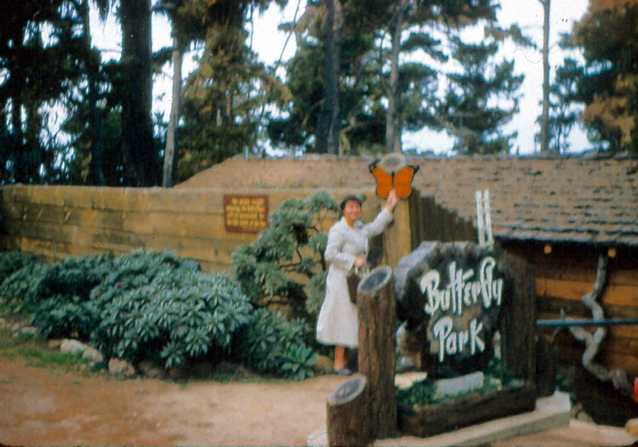 Box26 022 EML (Butterfly Park) 56